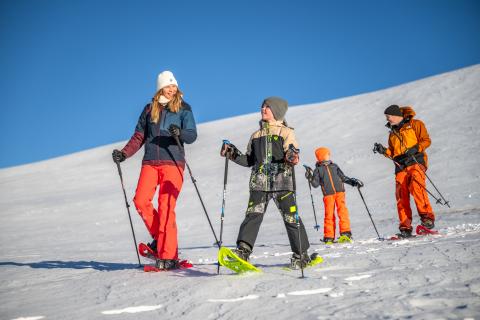 Abseits der Piste_Schneeschuhwandern_Falkert_Heidi-Alm_Familie_Nockberge_Winter © Christoph Rossmann_MBN Tourismus (8) Abseits der Piste_Schneeschuhwandern_Falkert_Heidi-Alm_Familie_Nockberge_Winter © Christoph Rossmann_MBN Tourismus (8)